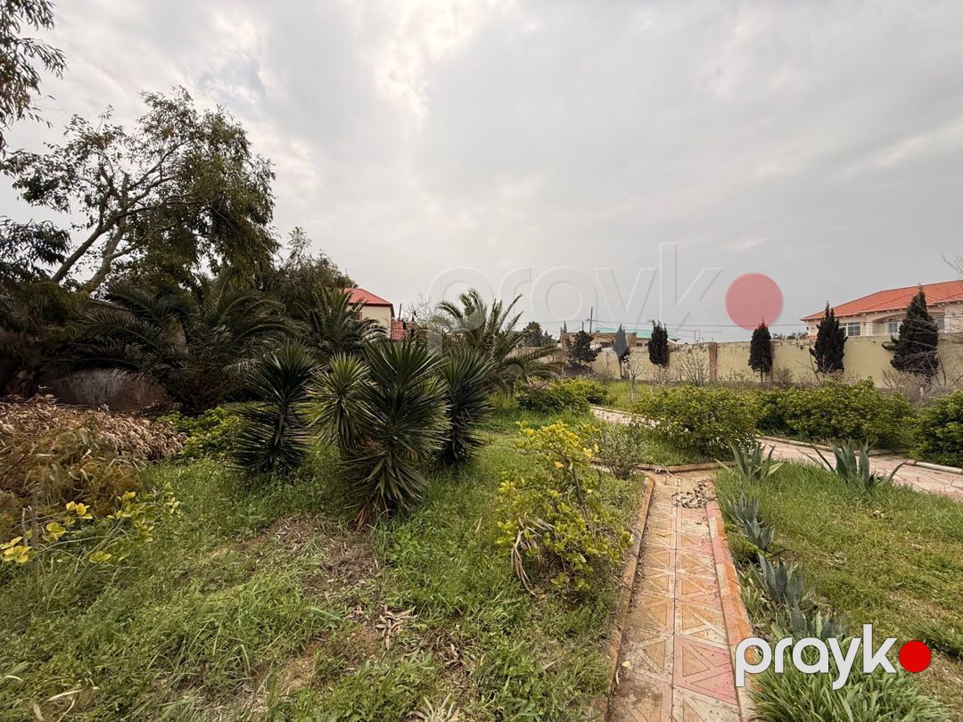 Satılır torpaq 30 sot — Torpaq, Bakı (6)