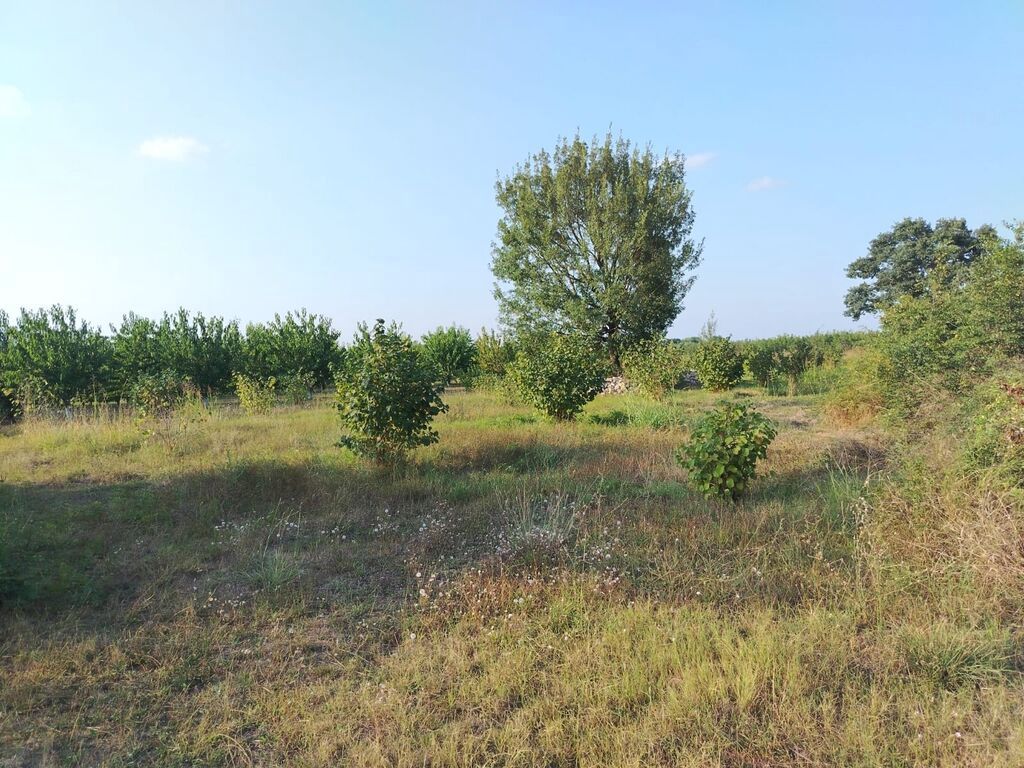 180 sot Kənd təsərrüfatı, Su — Torpaq, Qusar (10)