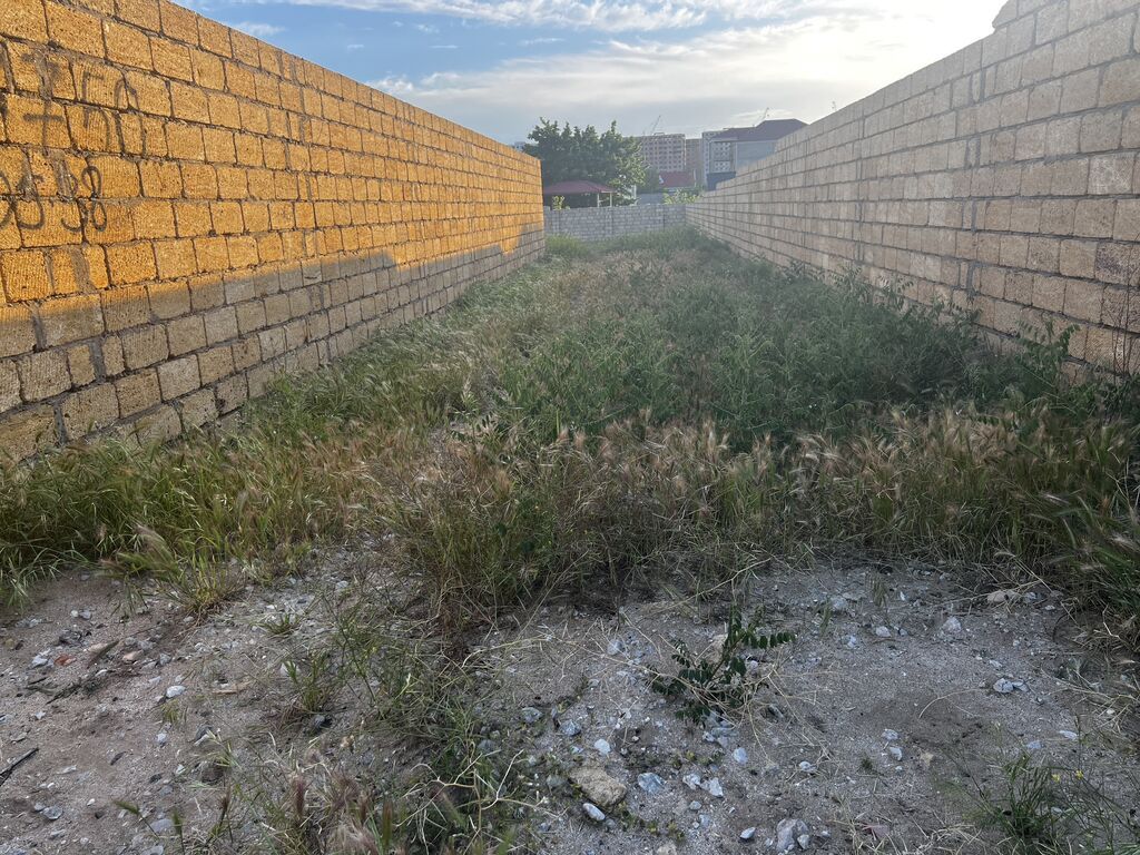 8 sot, Tikinti, Kupça (Çıxarış) — Torpaq, Saray (3)