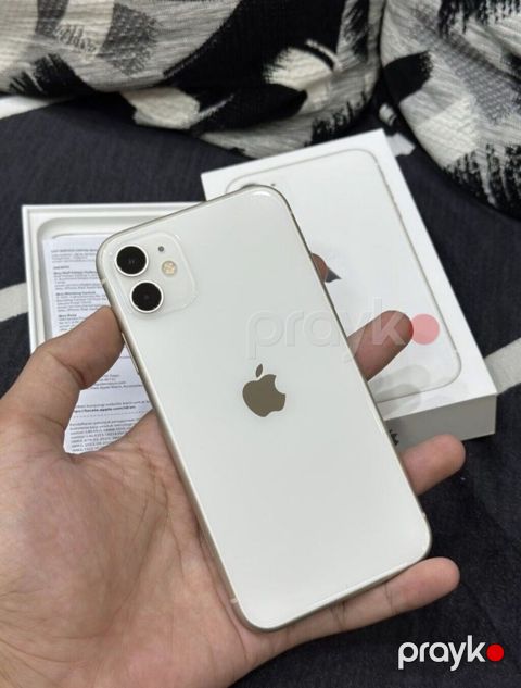 IPhone 11, Ağ