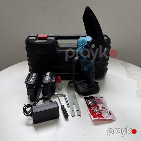 Akkumulyatorlu mini elektrik mişarı dəsti (21V)