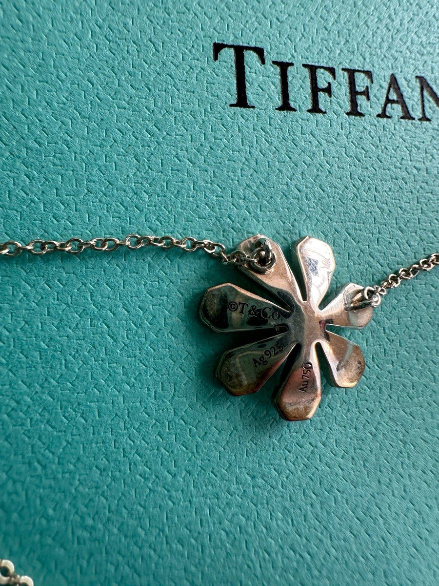 Boyunbağı Tiffany & Co — Şəxsi əşyalar, Bakı (5)