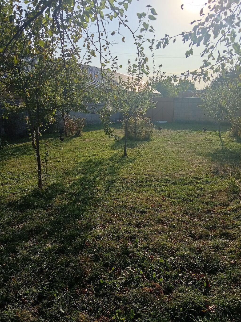 100 kv. m, 3 otaqlı, Hovuzsuz, Qaz — Daşınmaz əmlak, Qəbələ (2)