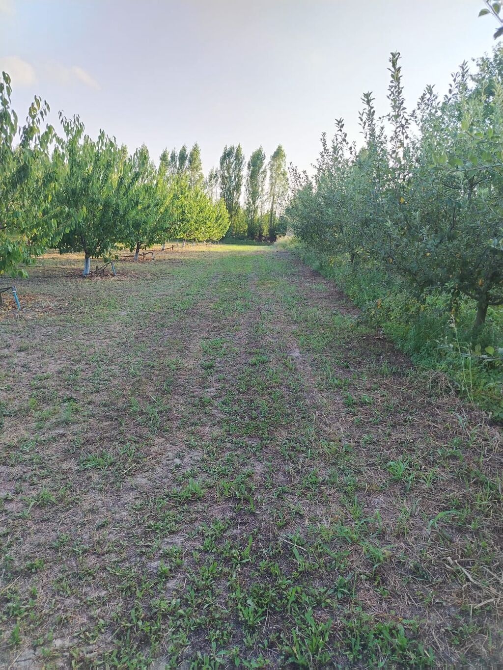 180 sot Kənd təsərrüfatı, Su — Torpaq, Qusar (7)