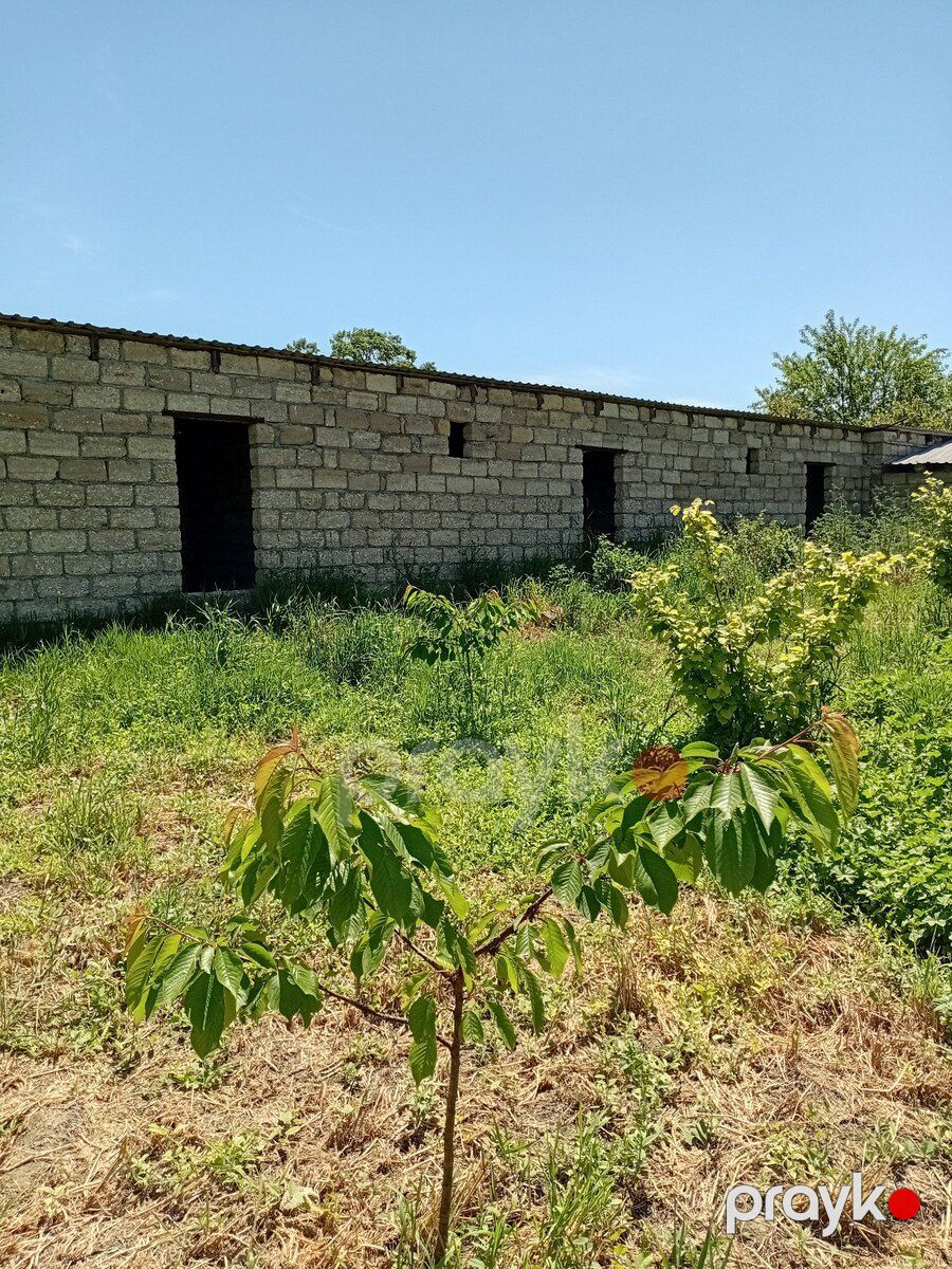 37 sot torpaq sahəsi, Xaçmaz r — Torpaq, Xaçmaz (4)