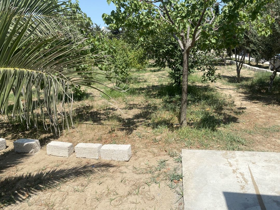 Satılır torpaq 7 sot — Torpaq, Bakı (4)