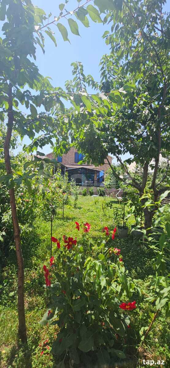 Villa kirayə verilir, Oğuz ş. — Daşınmaz əmlak, Oğuz (2)