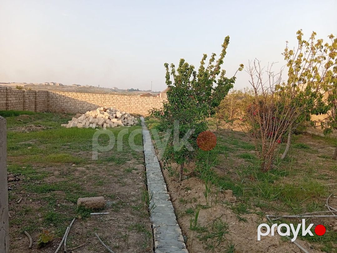 Satılır torpaq 6 sot — Torpaq, Bakı (4)