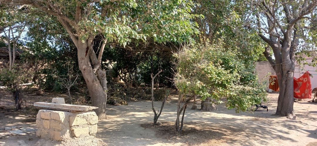 8 sot torpaq sahəsi, Corat qəs. — Torpaq, Sumqayıt