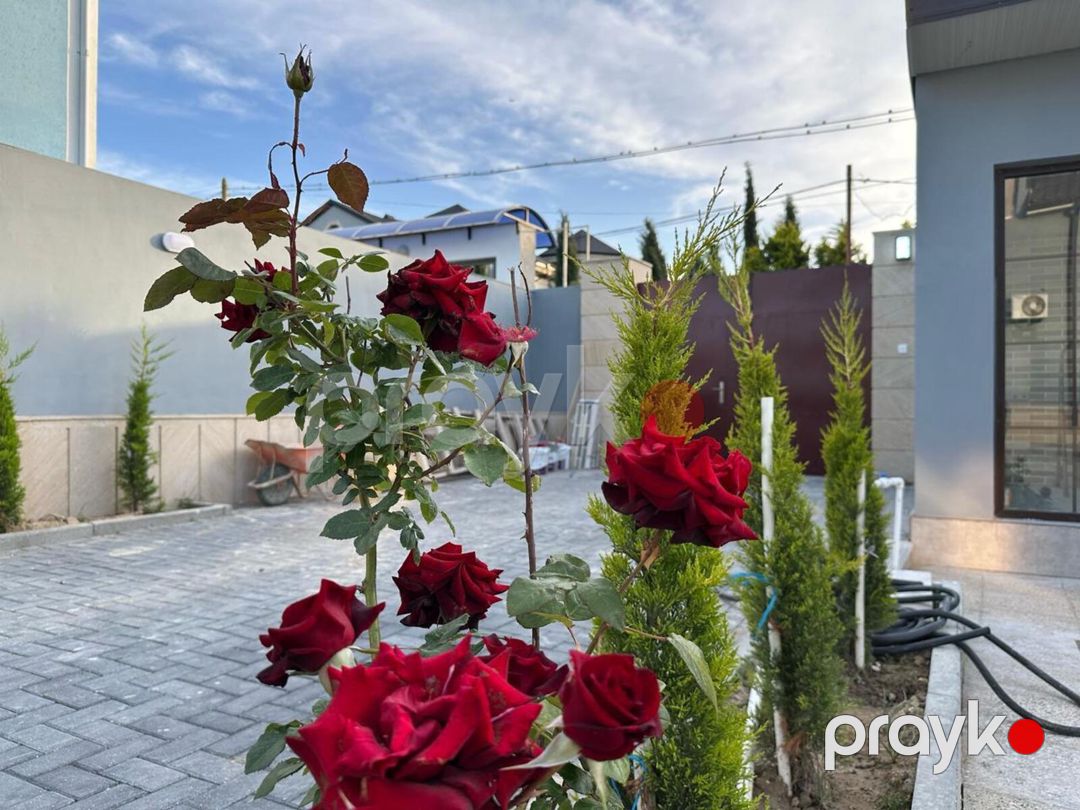 Villa kirayə verilir, Şüvəlan qəs — Ev, villa, Bakı (5)