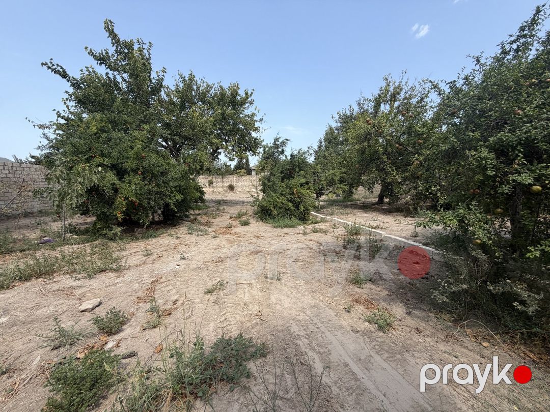 Satılır torpaq 11 sot — Torpaq, Bakı (3)