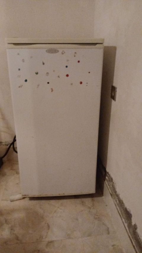 Kiçik ölçülü tək qapılı soyuducu - Aşağıdan dondurucu bölməsi olan