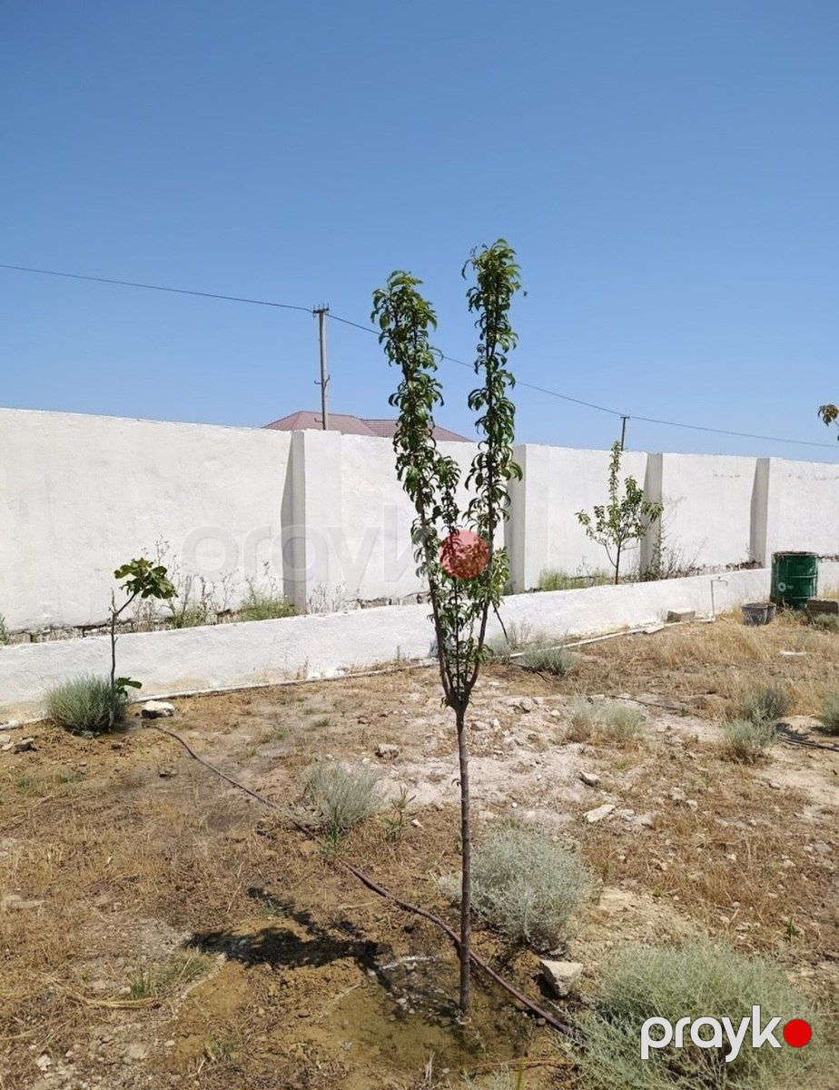 Satılır torpaq 10 sot — Torpaq, Bakı (9)