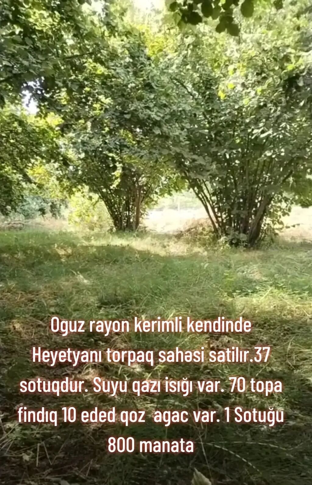 37 sot — Torpaq, Oğuz