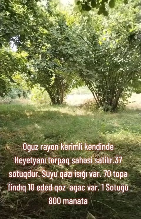37 sot