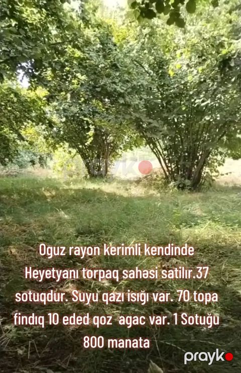 37 sot