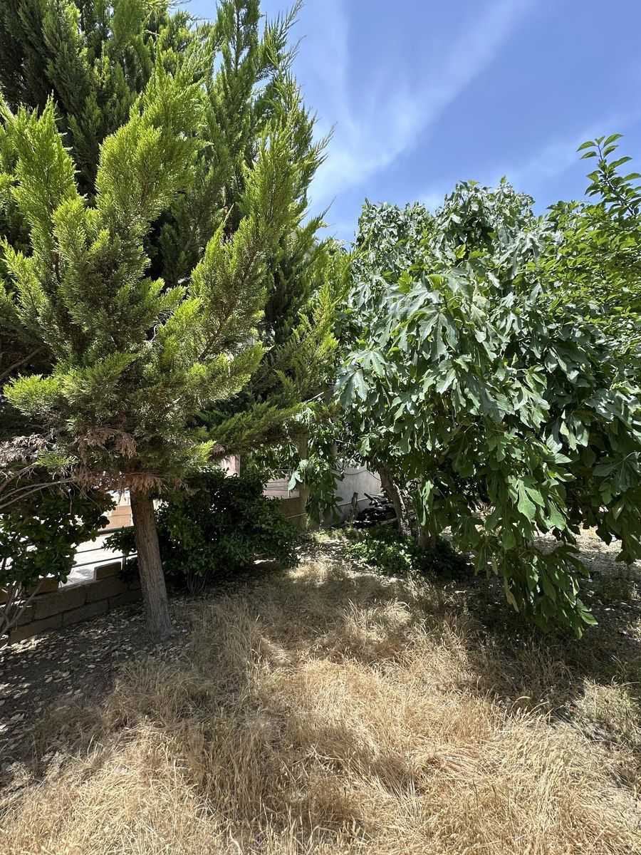 Satılır 5 otaqlı həyət evi/bağ evi 200 m² — Ev, villa, Bakı (4)