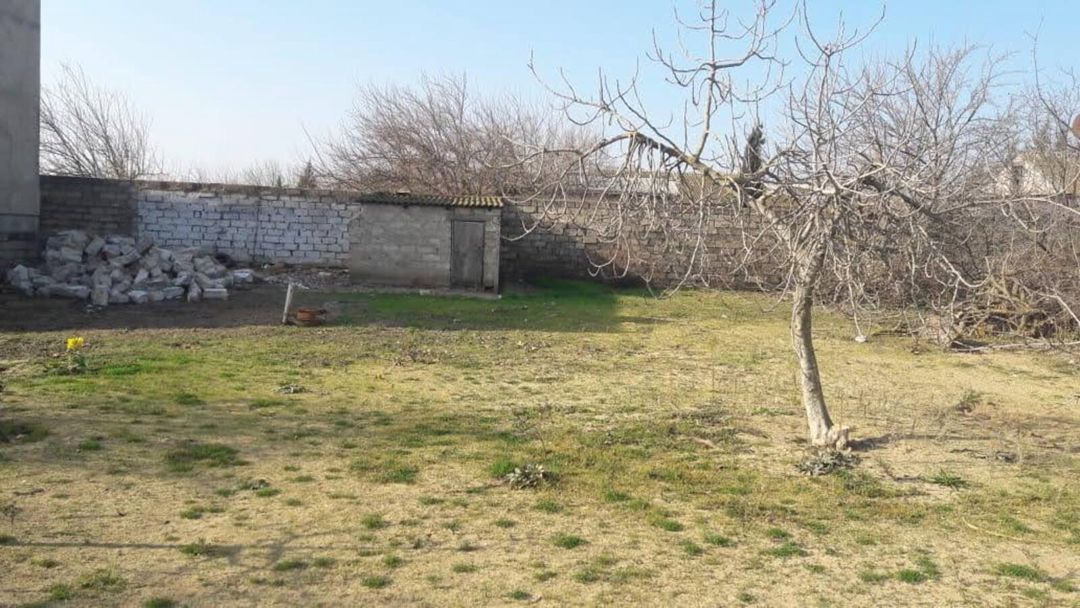 Satılır torpaq 5 sot — Torpaq, Bakı (3)