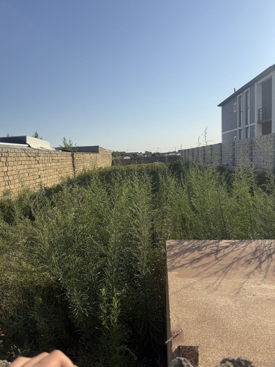 0.6 sot torpaq sahəsi, Nardaran qəs. — Torpaq, Bakı