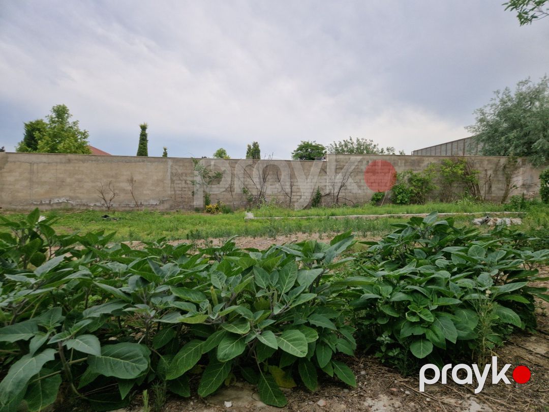 Bilqəh qəsəbəsində torpaq, 12 sot — Torpaq, Bakı (6)