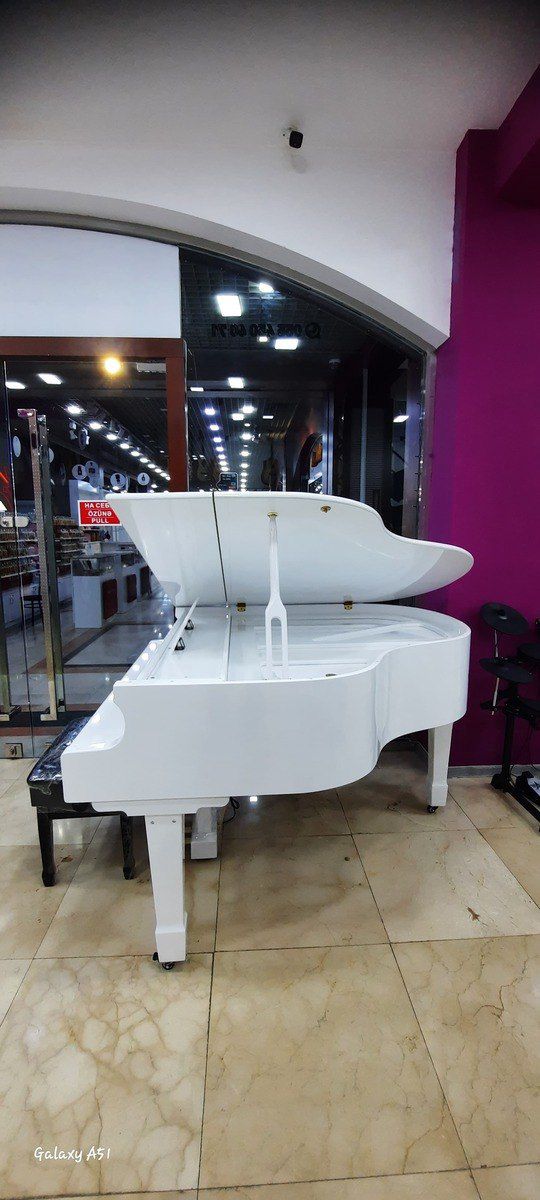 Elektro royal — Musiqiə alətləri, Bakı (4)