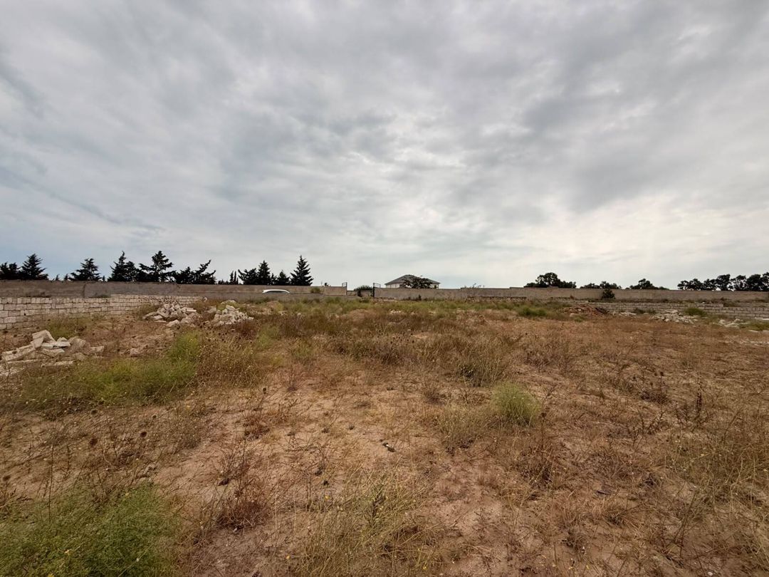 Satılır torpaq 12 sot — Torpaq, Bakı (7)