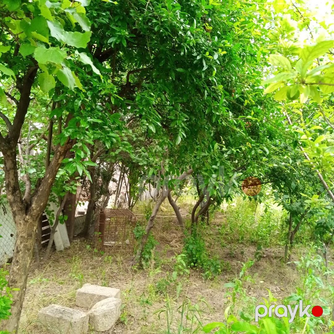 6 sot torpaq sahəsi, Sumqayıt ş. — Torpaq, Sumqayıt (6)