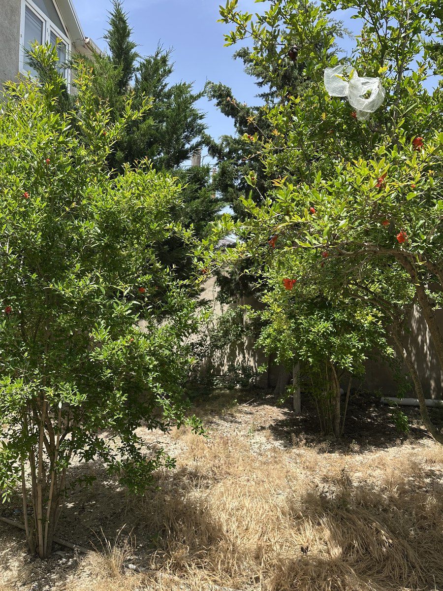 Satılır 5 otaqlı həyət evi/bağ evi 200 m² — Ev, villa, Bakı (7)