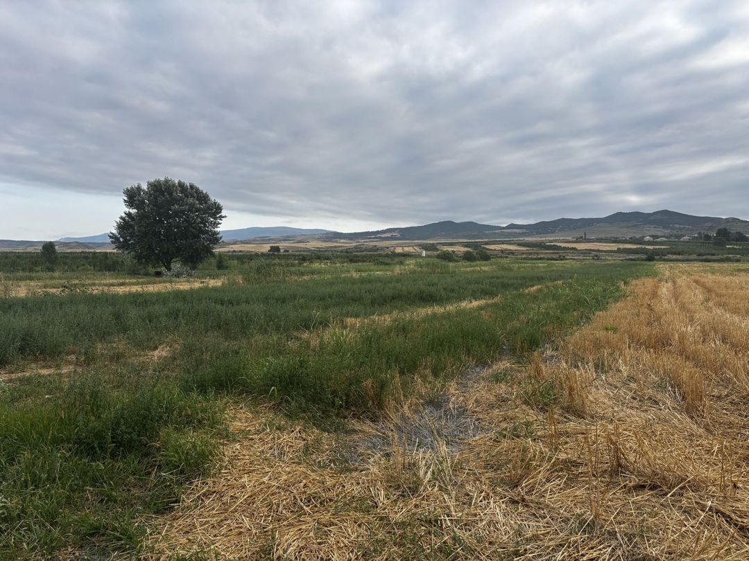189 sot torpaq sahəsi, Quba r. — Torpaq, Şabran (5)
