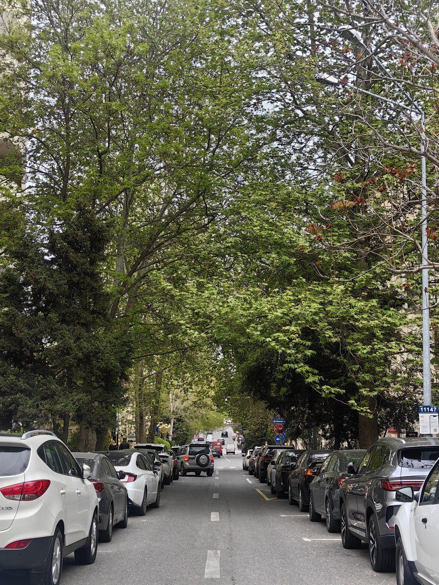 Satılır 3 otaqlı köhnə tikili 110 m² — Mənzil, Bakı (3)