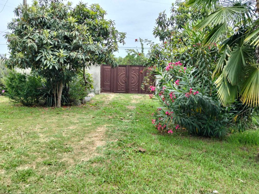 Satılır 5 otaqlı həyət evi/bağ evi 200 m² — Ev, villa, Lənkəran (3)