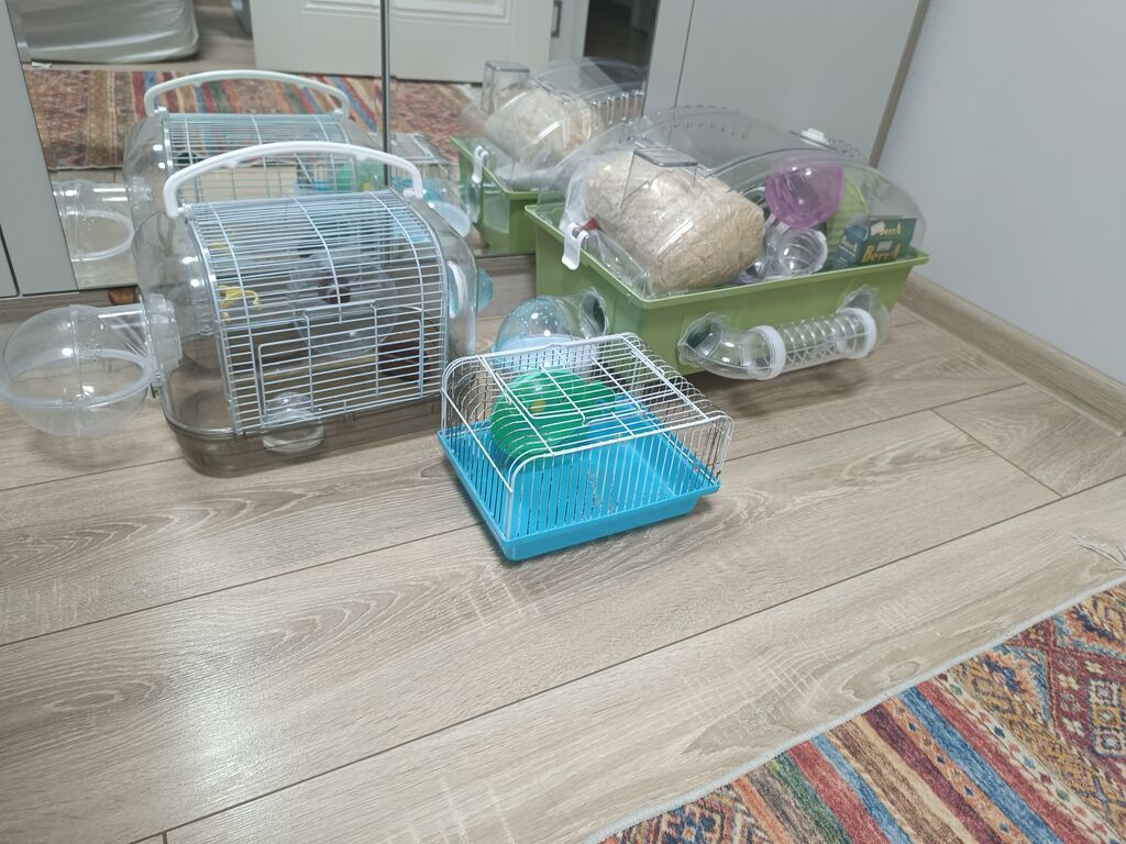 Siçan/hamster üçün komplekt qəfəs sistemi - Modul tipli hamster evi