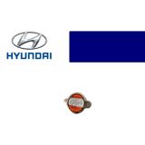 HYUNDAI 253303K000 radiator qapağı — Ehtiyat hissələri və aksesuarlar
