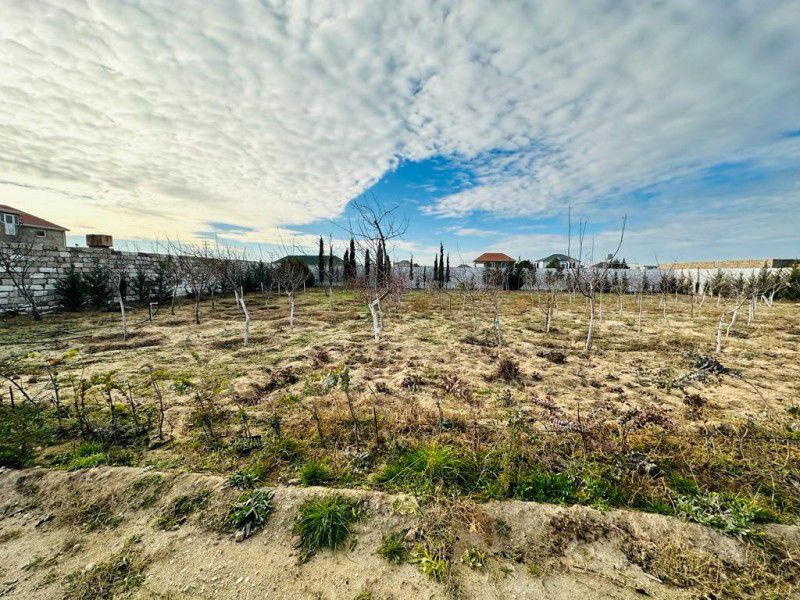 şüvəlanda torpaq satılır 2023