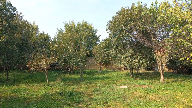 Novxani belediyye terefde torpaq satisi
