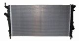 Ford Focus su radiatoru — Otomobil