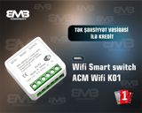Smart rele ACM Wifi K01 — Electronics