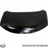 Nissan Rogue 20142020 kapotu — Otomobil