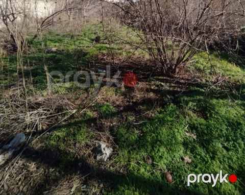 Kristal şadlıq sarayı yaninda Torpaq