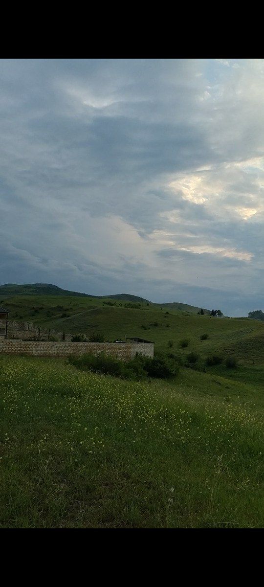 8 sot torpaq sahəsi, Göygöl r. — Torpaq, Göygöl (6)