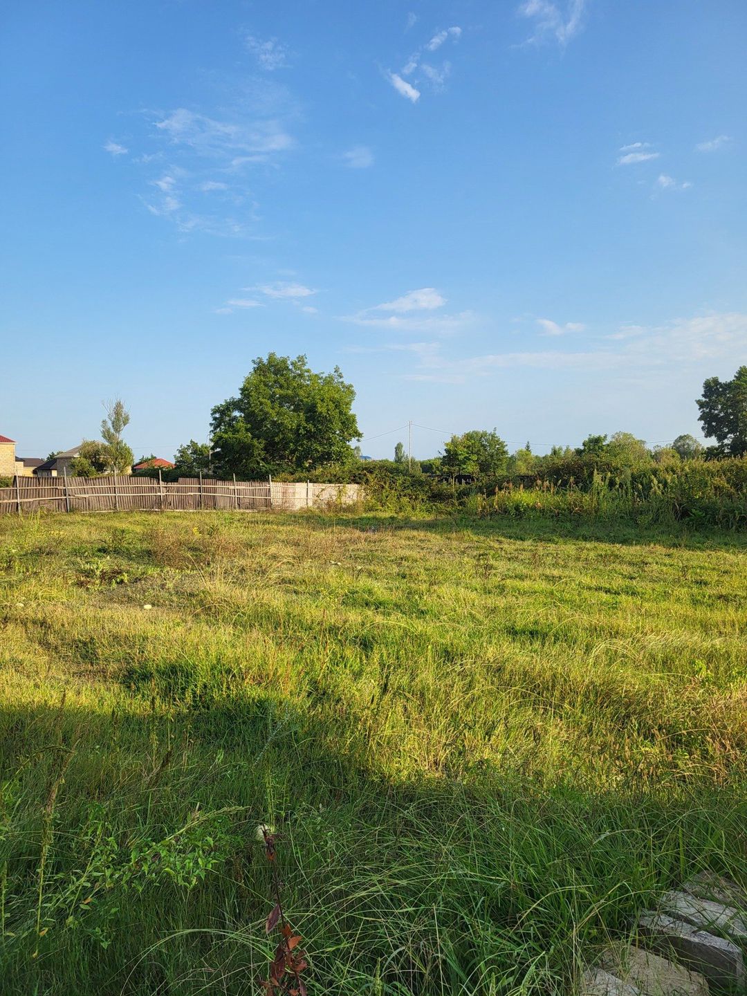 Satılır torpaq 6 sot — Torpaq, Lənkəran