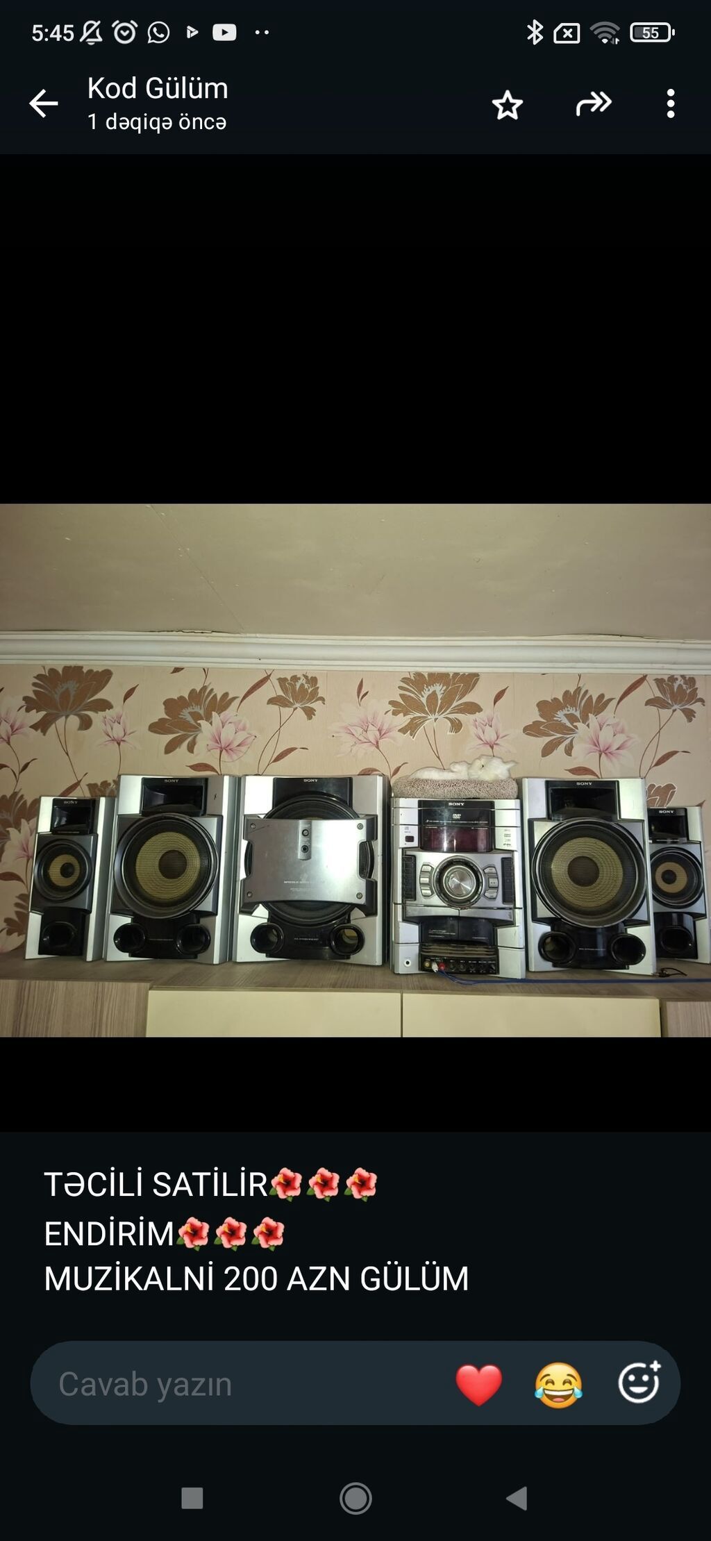 Musiqi Mərkəzi və Akustik Sistem Dəsti - Bir neçə blokdan ibarət — Elektronika, Gəncə (2)