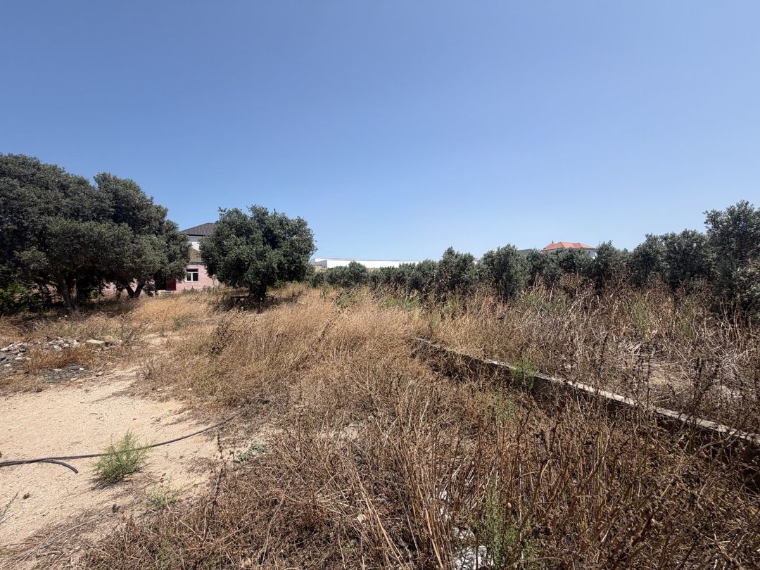 Satılır torpaq 50 sot — Torpaq, Bakı (5)