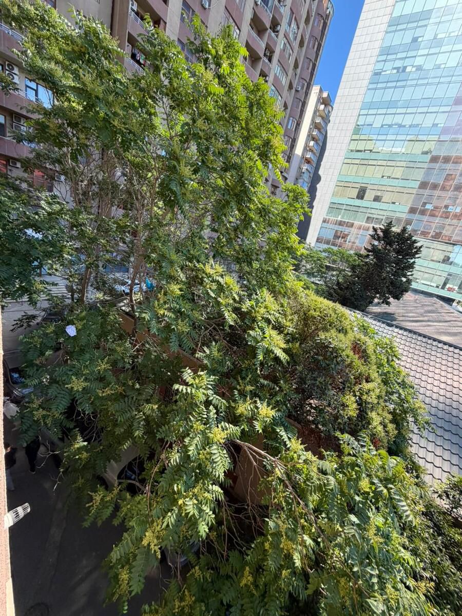 Satılır 2 otaqlı yeni tikili 65 m² — Mənzil, Bakı (10)