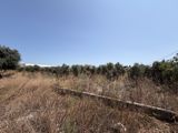 Satılır torpaq 50 sot — Land plot