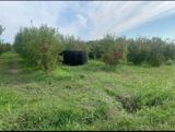 0.27 sot torpaq sahəsi, Hacıbəyli k. — Real estate