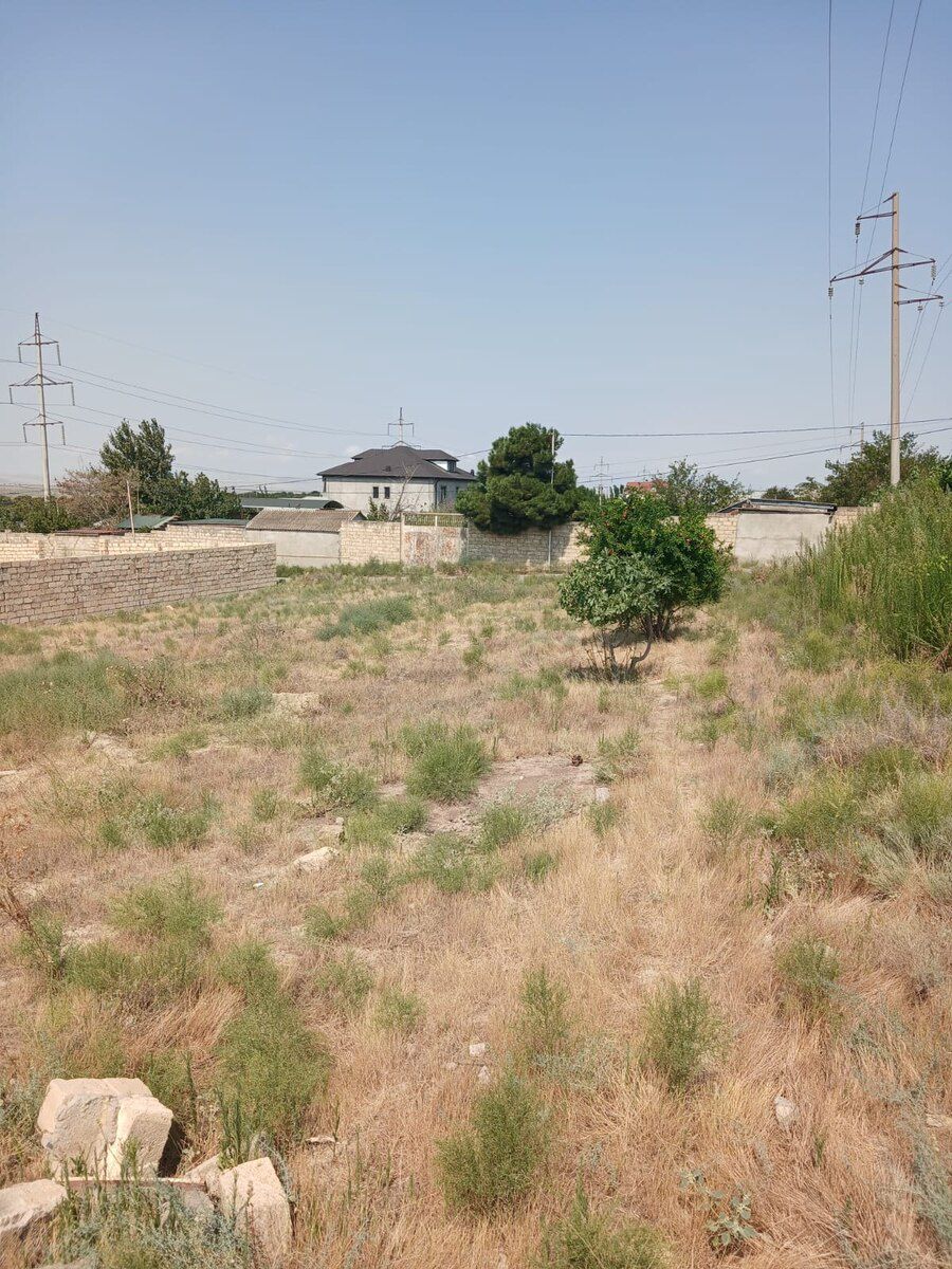 10 sot torpaq sahəsi, Saray qəs. — Torpaq, Sumqayıt (2)