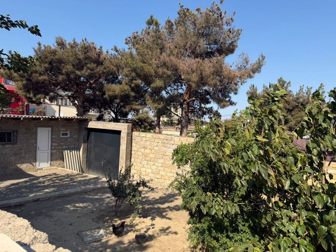 Satılır torpaq 5 sot — Torpaq, Bakı (3)