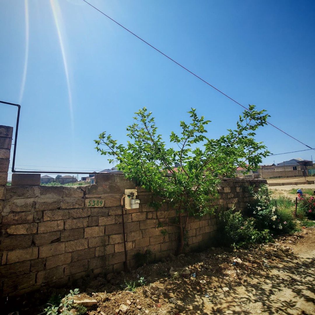 Satılır torpaq 6 sot — Torpaq, Bakı (2)