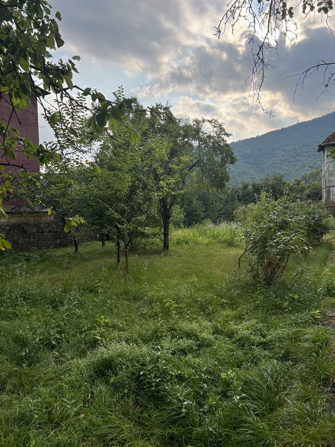 Satılır torpaq 6 sot — Torpaq, Oğuz (3)